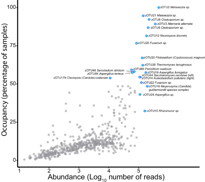 Phylogenetic and ecological drivers of the avian lung mycobiome and its potentially pathogenic component