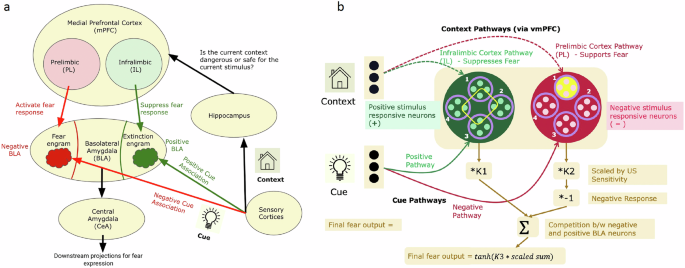 A neurally constrained computational model of context-dependent fear extinction recall and relapse