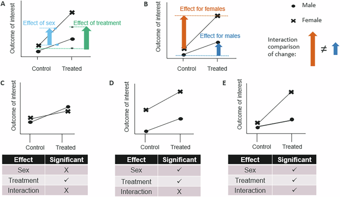 Navigating the paradigm shift of sex inclusive preclinical research and lessons learnt
