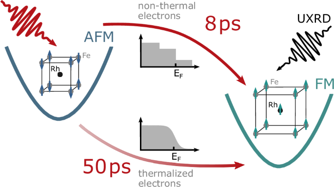 Non-thermal electrons open the non-equilibrium pathway of the phase transition in FeRh