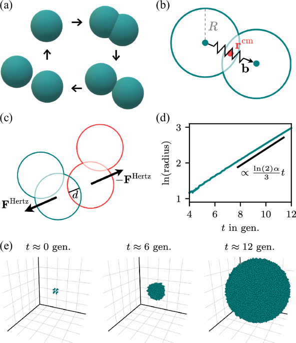 Motility-induced mixing transition in exponentially growing multicellular spheroids