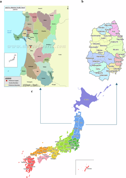 Identifying daily life vulnerability and regional homeostasis: verbalising homeostasis landscape in regional policy for disaster areas of Tohoku, Japan