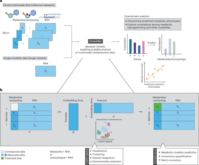UnitedMet harnesses RNA–metabolite covariation to impute metabolite levels in clinical samples