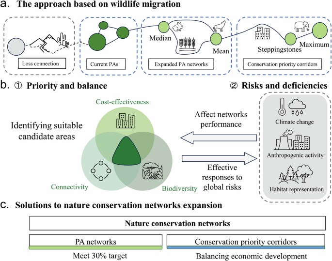 Conservation priority corridors enhance the effectiveness of protected area networks in China