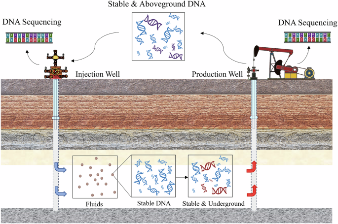 DNA-sequencing method maps subsurface fluid flow paths for enhanced monitoring