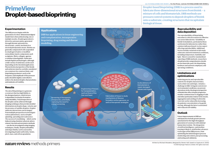 Droplet-based bioprinting | Nature Reviews Methods Primers