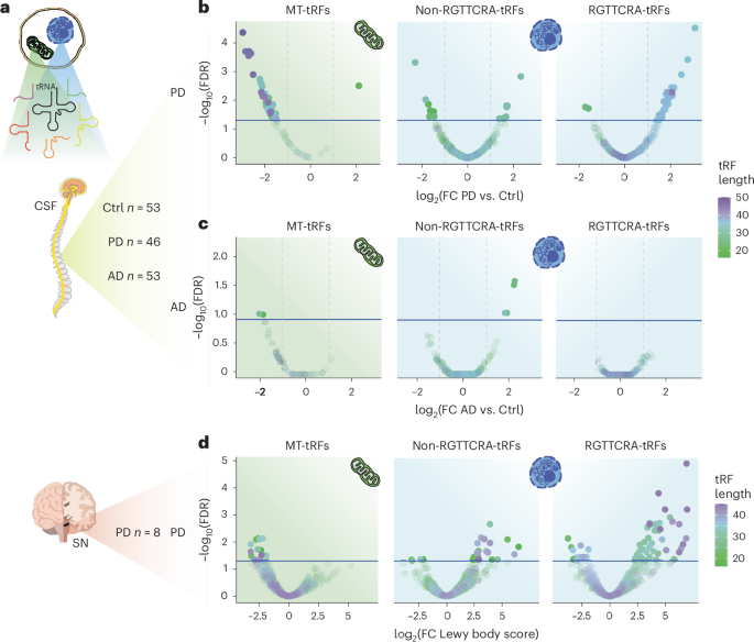 Pre-symptomatic Parkinson’s disease blood test quantifying repetitive sequence motifs in transfer RNA fragments