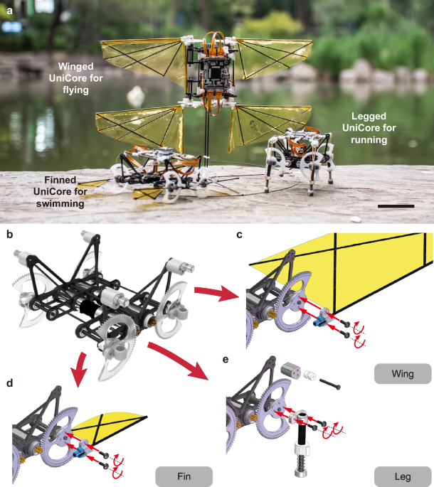 Reciprocal actuation core and modular robotic limbs for flying, swimming and running
