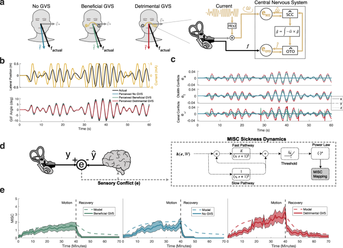 Validating sensory conflict theory and mitigating motion sickness in humans with galvanic vestibular stimulation
