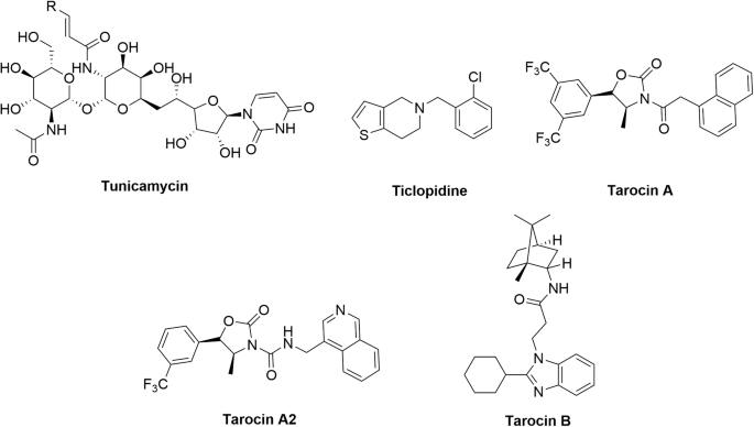 Design, synthesis and optimization of TarO inhibitors as multifunctional antibiotics against Methicillin-resistant Staphylococcus aureus