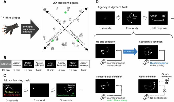 Sense of agency for a new motor skill emerges via the formation of a structural internal model