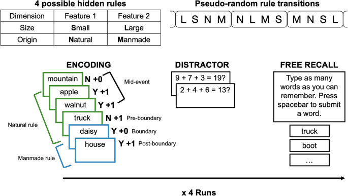 Free recall is shaped by inference and scaffolded by event structure
