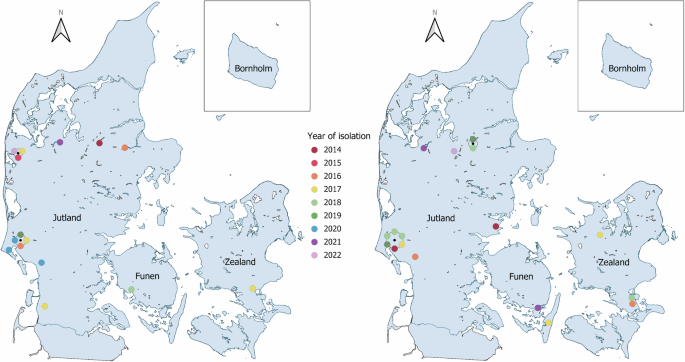 Lentogenic avian paramyxovirus 1 of both class I and class II are circulating in danish wild and commercial waterfowl