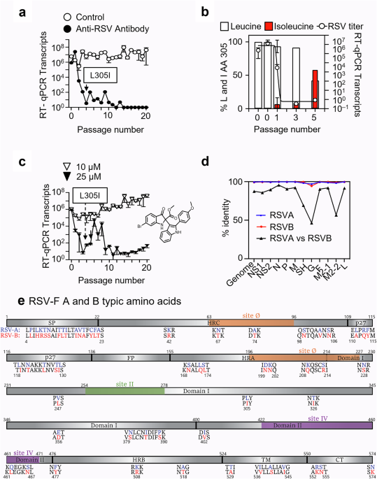 A single amino acid mutation alters multiple neutralization epitopes in the respiratory syncytial virus fusion glycoprotein