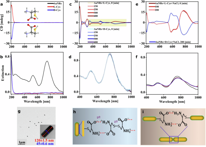 Plasmonic nanorod and dimer chiral molecule sensing from cysteine monolayer to bi-layers and multilayered shells