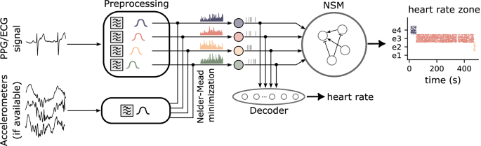 A neuromorphic multi-scale approach for real-time heart rate and state detection