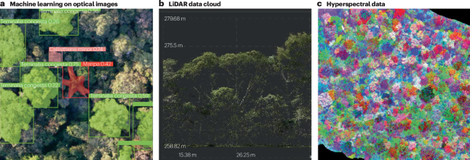 Drivers and benefits of natural regeneration in tropical forests