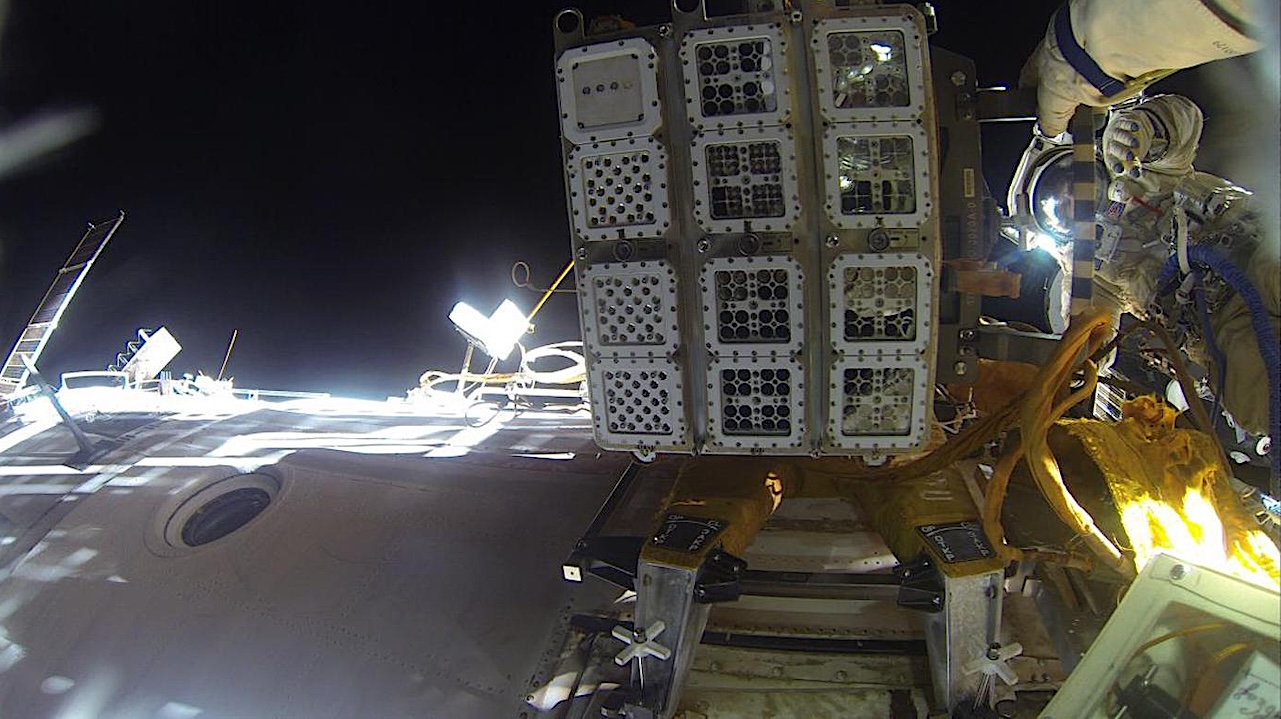 Tricorder Tech: Antibody Resistance to Space Conditions after Exposure Outside the International Space Station