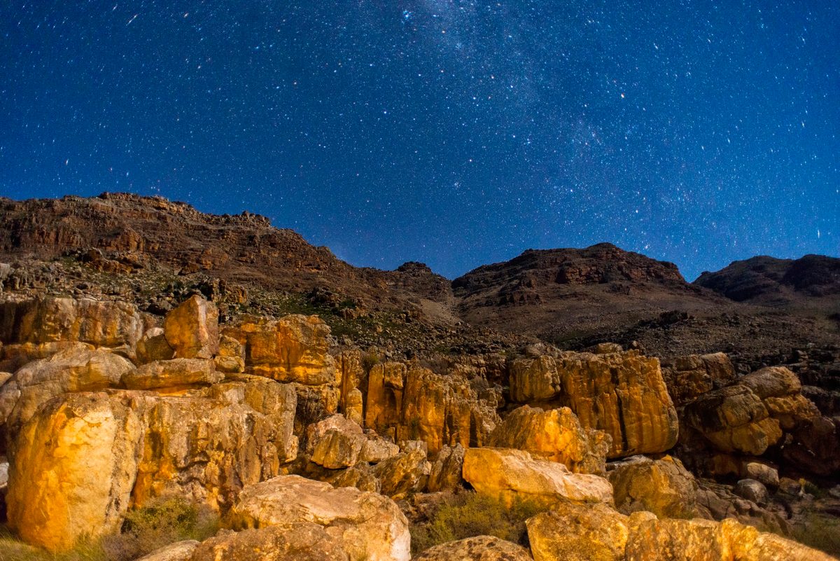 Muscles and guts of prehistoric animal found “preserved in unimaginable detail” in South African mountains