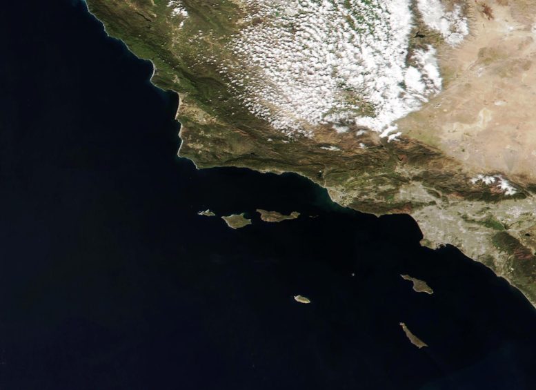 Wild Islands Hiding Just off California’s Coast – And Why Scientists Call Them ‘Galápagos’