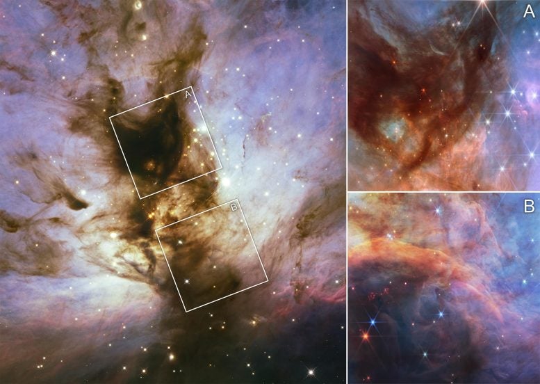 Cosmic Castaways: Webb Unveils the Flame Nebula’s Smallest “Almost-Stars”