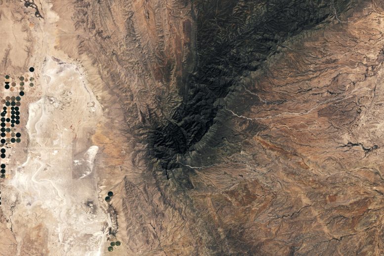 This 250-Million-Year-Old Reef Became a Mountain in Texas – And It’s Packed With Fossils