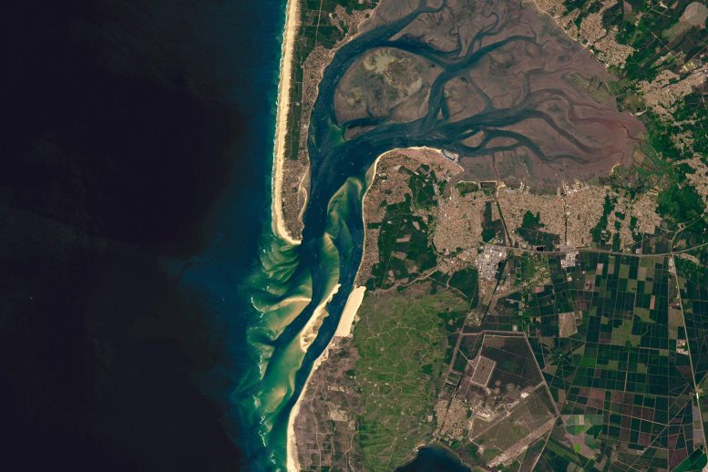 The Dune That Walks: How Wind and Time Shape Europe’s Tallest Sand Giant