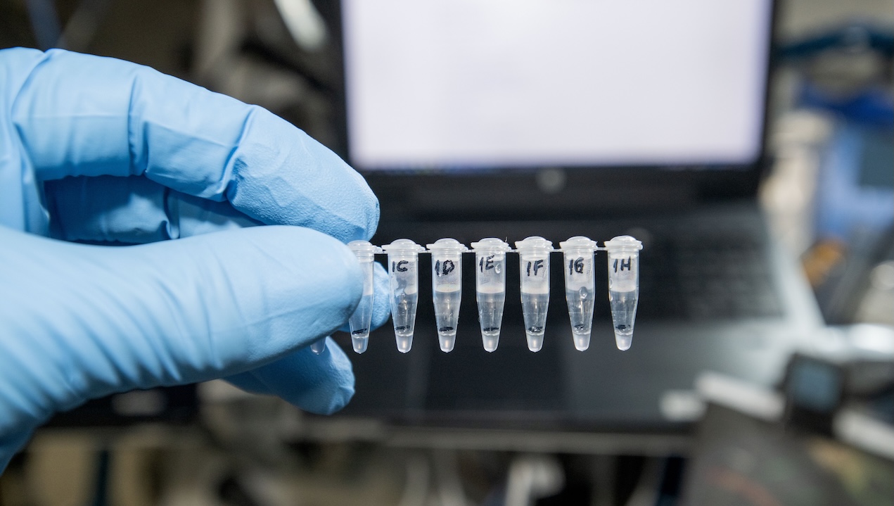 Offworld Nucleic Acid Sequencing – Astrobiology