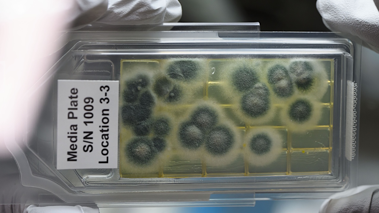 Offworld Space Biology: Genomic Enumeration of Antibiotic Resistance in Space (GEARS)