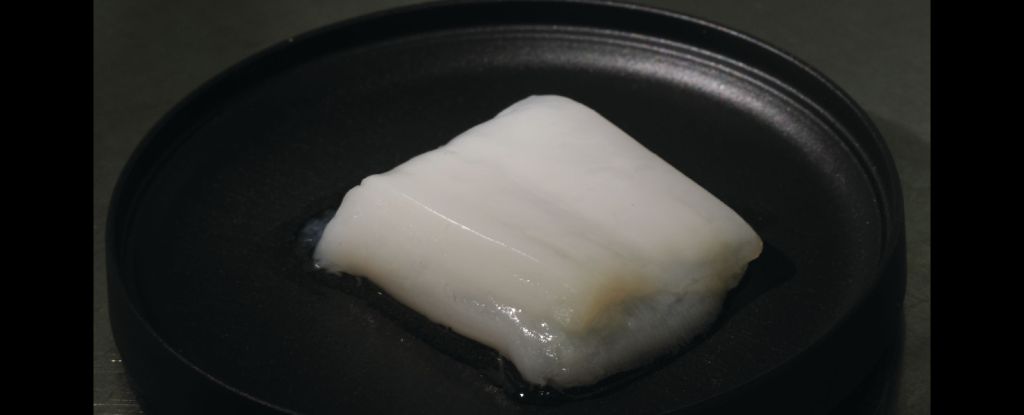 Fake Blood Vessels Mean Lab-Grown Chicken Can Now Be Nugget Sized : ScienceAlert