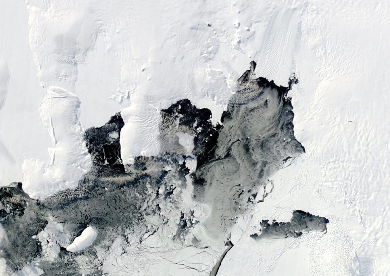 Ghost Ice vs. Rising Seas: A Surprise Antarctic Freeze Near Doomsday Glaciers