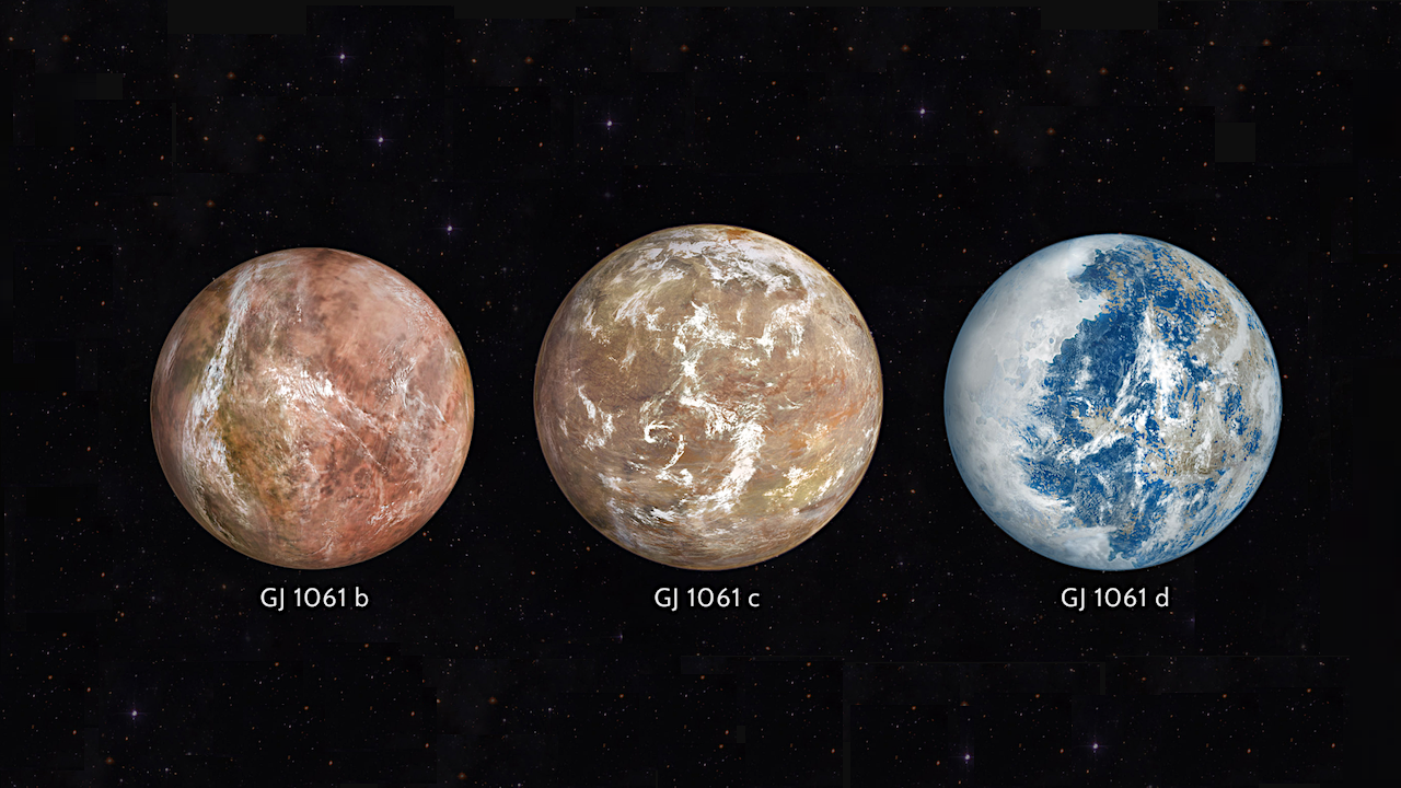 RedDots: Planetary Masses In The GJ1061 System From Planet-planet Interaction