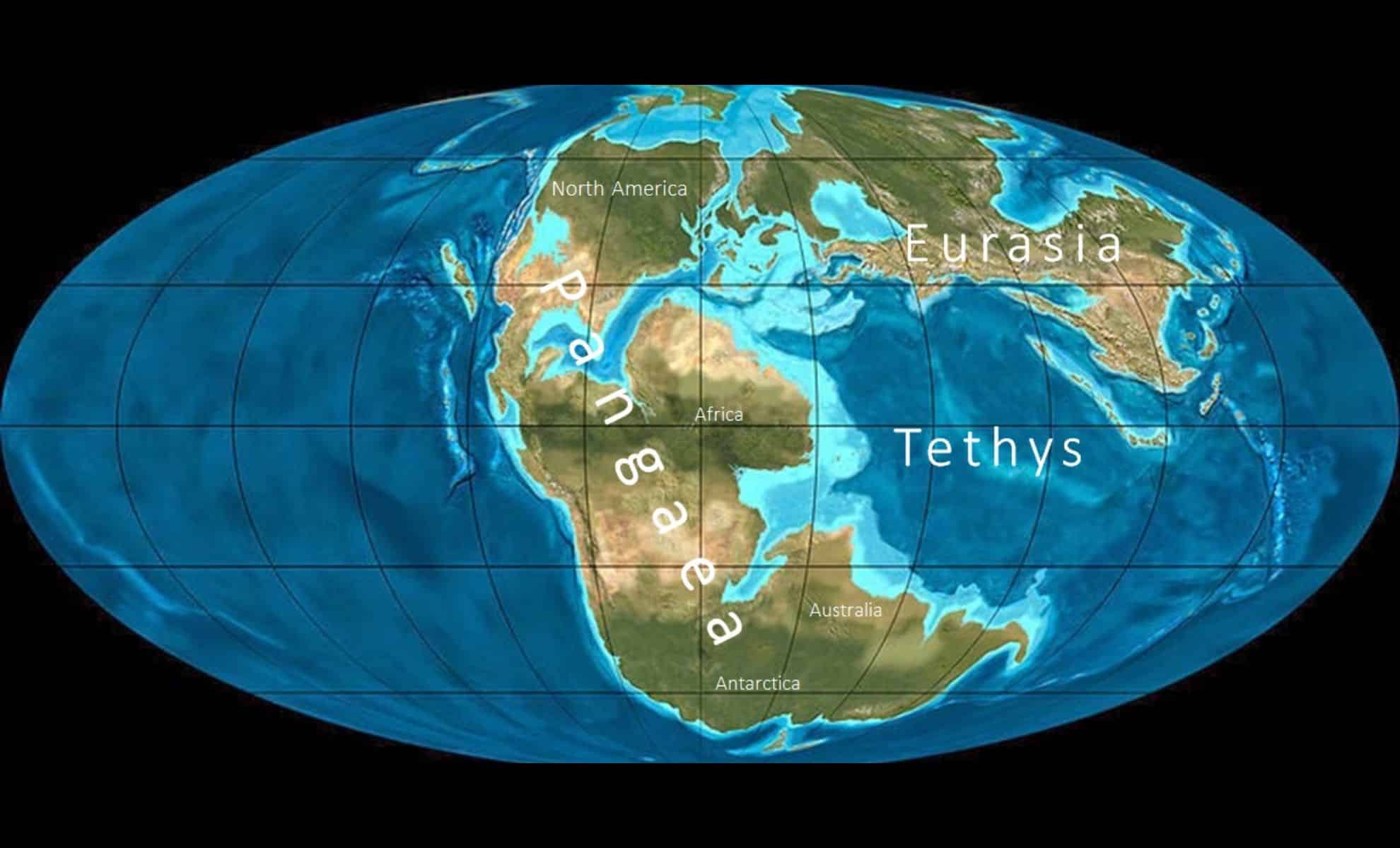 Tethys Seaway — The Vanished Ocean That Completely Altered the Course of Life on Earth!