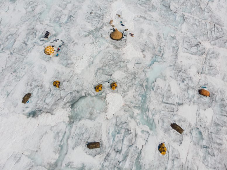 The Mysterious Algae That Melts Ice: Microscopic Life Fueling Glacier Loss