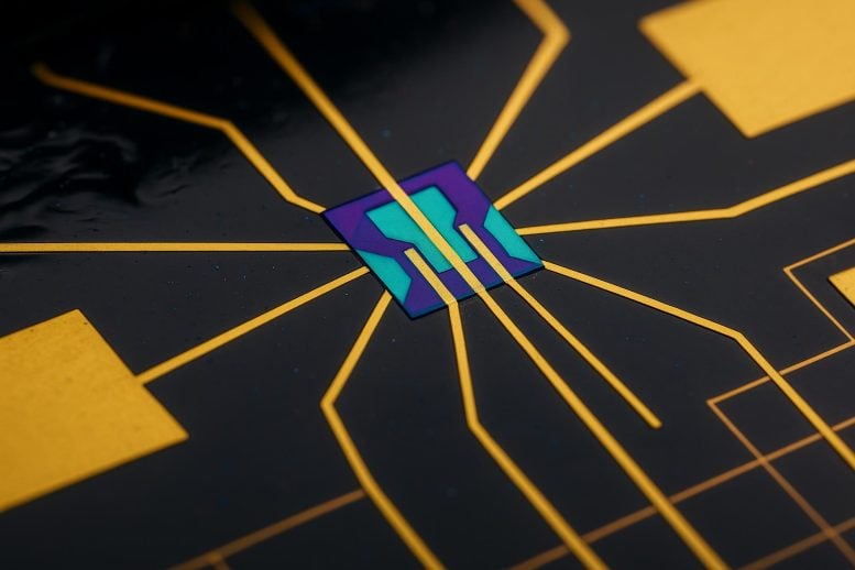 One Material, Four Behaviors: Superconductor, Metal, Semiconductor, and Insulator