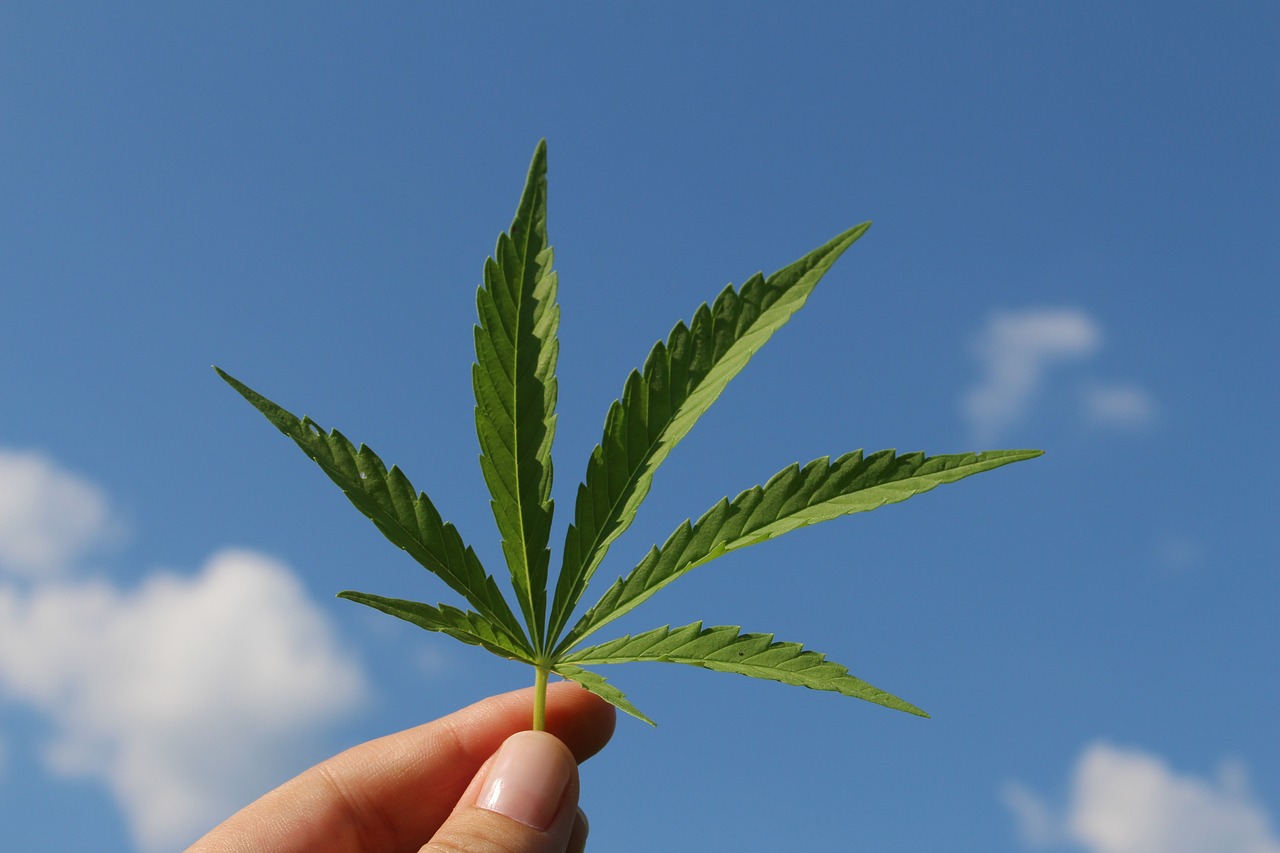 Edibles, Vaping, and Dabbing on the Rise Among U.S. Adults