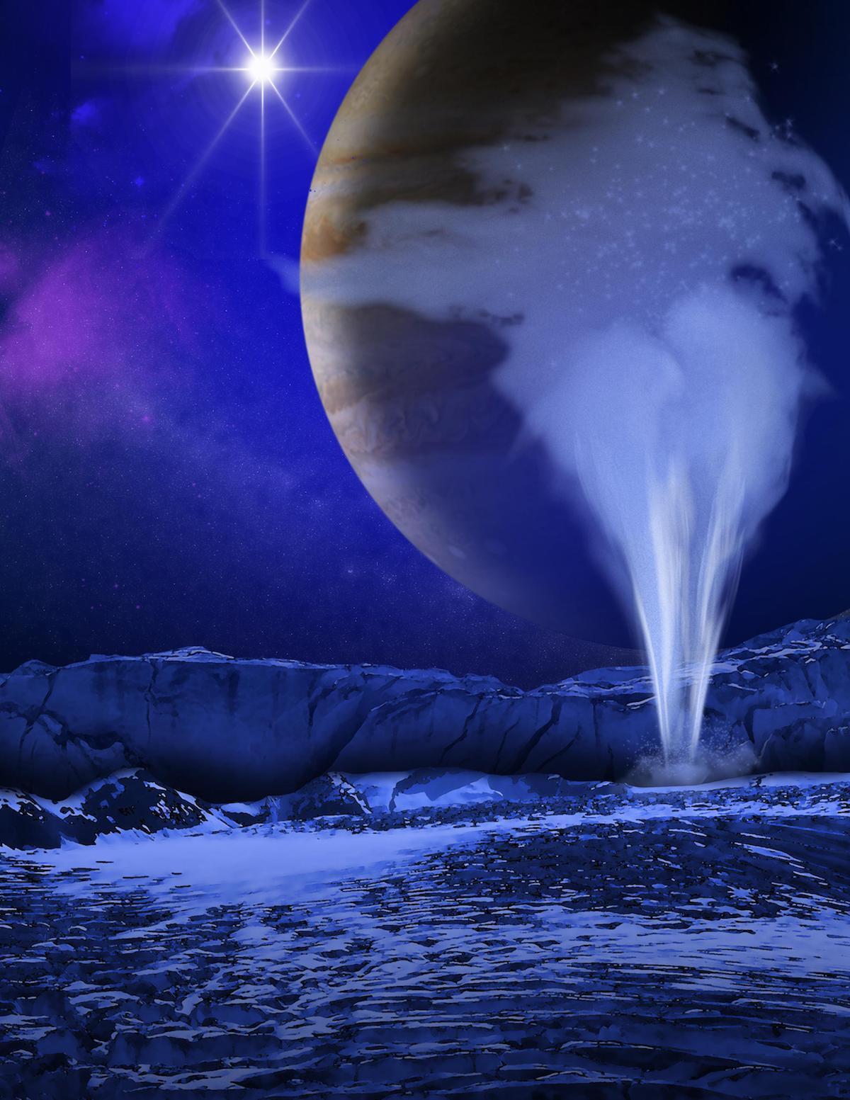 Europa’s Plume Morphology Shaped by Gas Drag