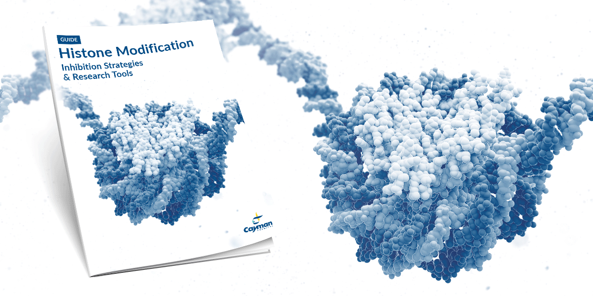 Histone Modification: Inhibition Strategies & Research Tools