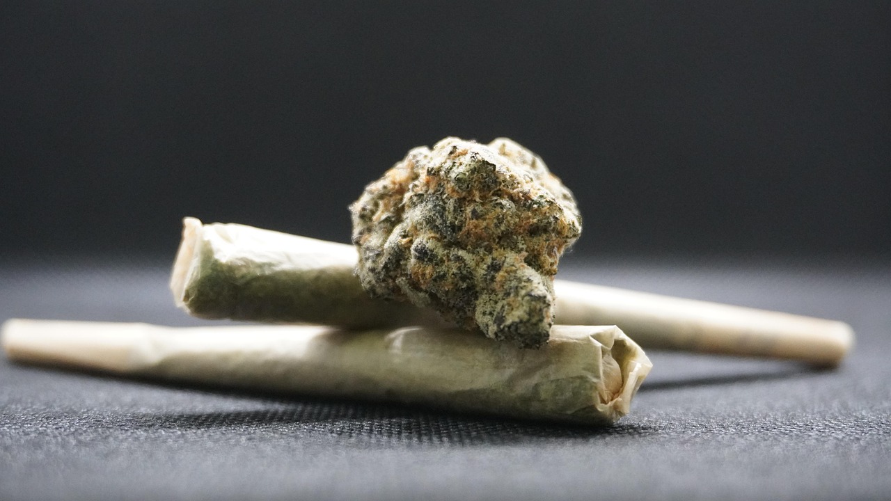 Survey Finds Support for Physician Use of Medical Cannabis