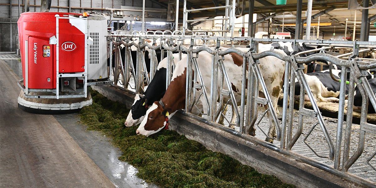 Revolutionizing Dairy Farming: How Robots Benefit Cows & Farmers