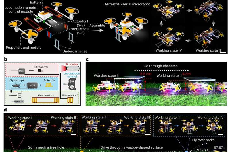 Microrobots powered by thin-film actuator can morph, lock shapes and operate untethered