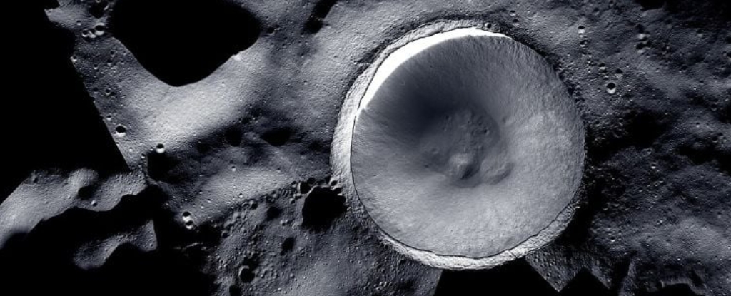 Moon’s Shadows Could Harbor Microbes. Here’s Why That’s A Concern. : ScienceAlert