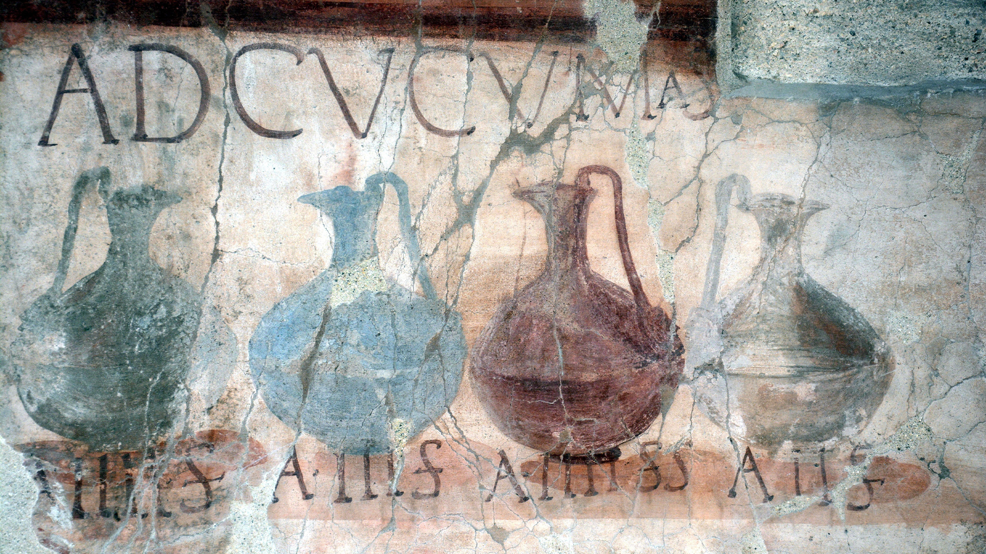Cheers to Bronze Age humans for delicious Italian wine