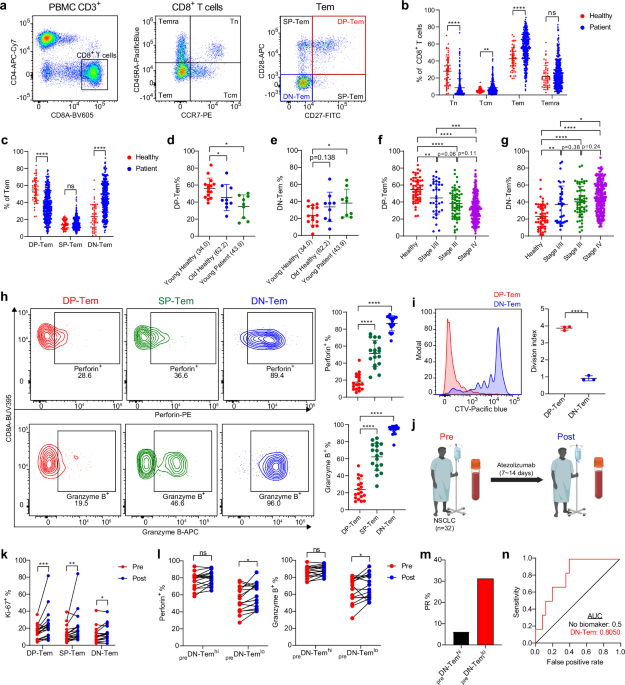 Progressive accumulation of circulating CD27−CD28− effector/memory CD8+ T cells in patients with lung cancer blunts responses to immune checkpoint inhibitor therapy