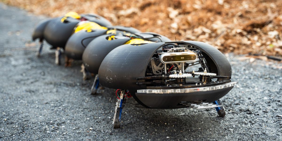 Giant Robotic Bugs: Farming’s New Revolution
