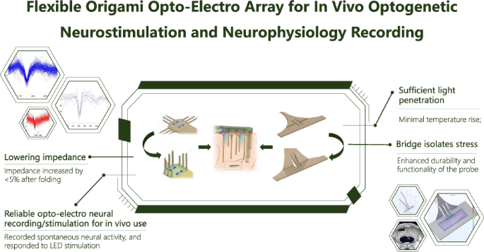 Foldable 3D opto-electro array for optogenetic neuromodulation and physiology recording
