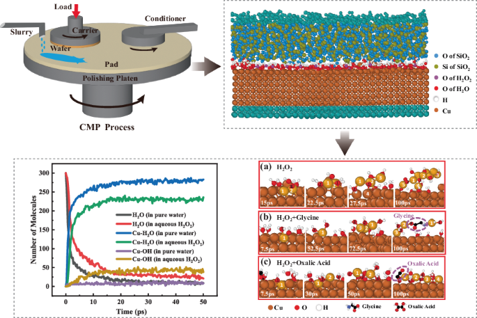 Study on polishing mechanisms of BEOL metal interconnects based on chemical and mechanical synergy
