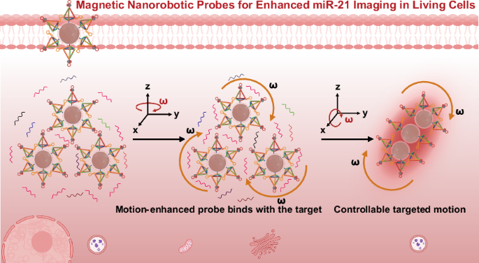 Tetrahedral-modified magnetic nanorobotic probe for enhanced imaging of cancer-related miRNA