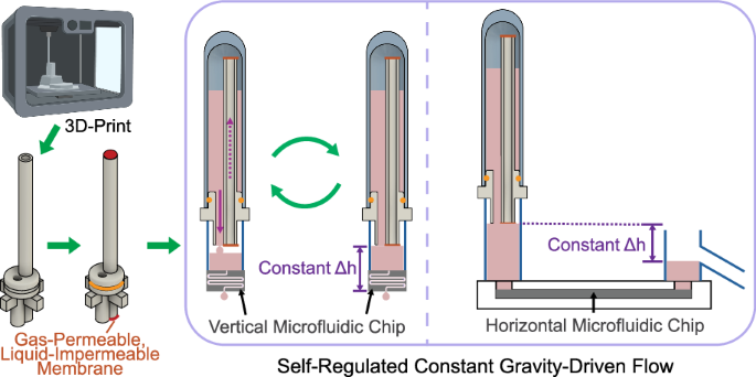 A Compact Hydraulic Head Auto-Regulating Module (CHARM) for long-term constant gravity-driven flow microfluidics