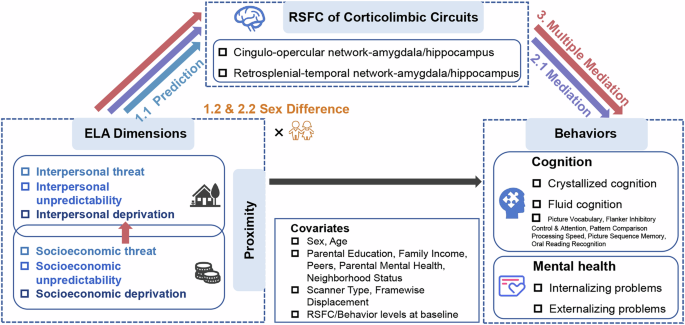 Associations of interpersonal and socioeconomic early life adversity dimensions with adolescents’ corticolimbic circuits, cognition, and mental health